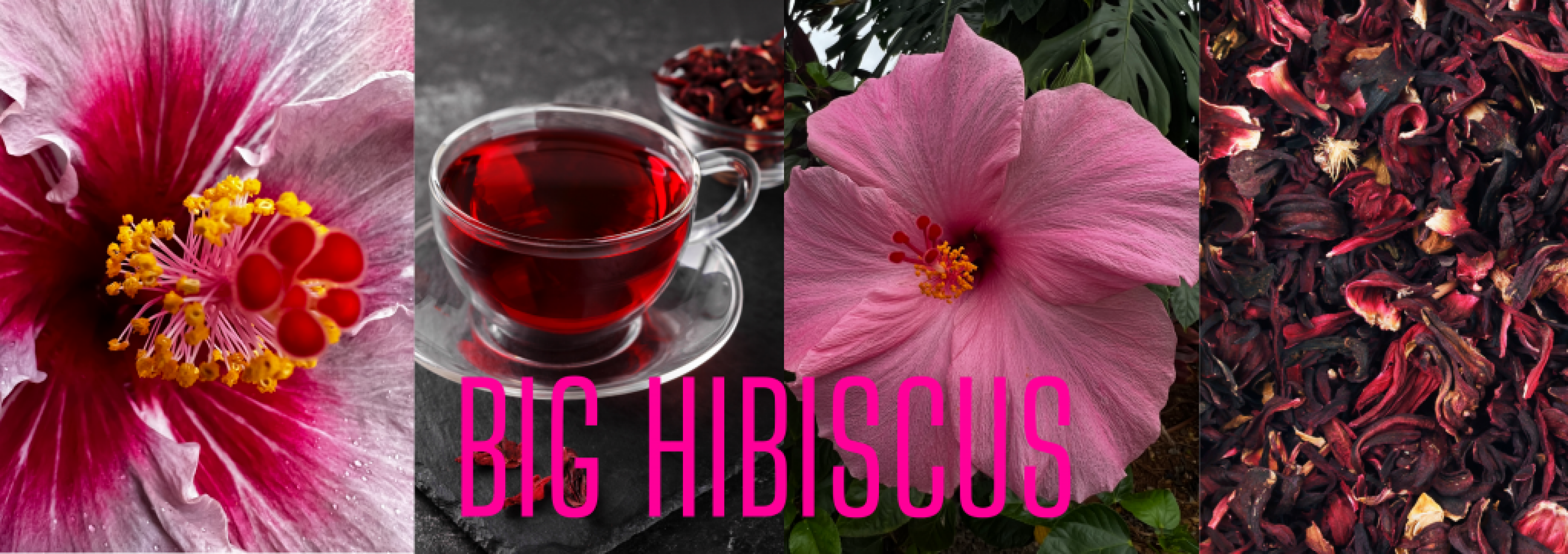 January: Featured Tea