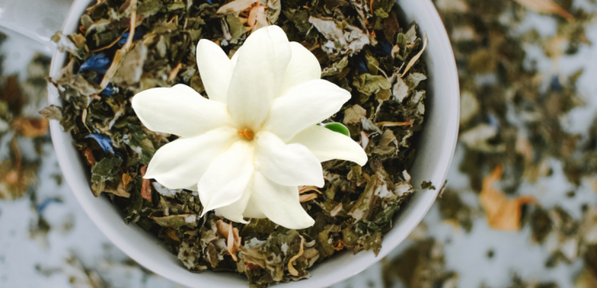 February: Featured Tea
