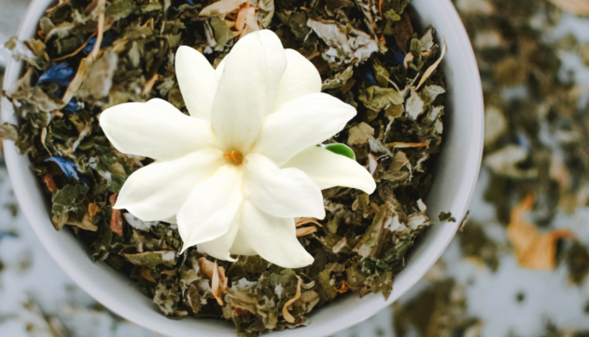 February: Featured Tea