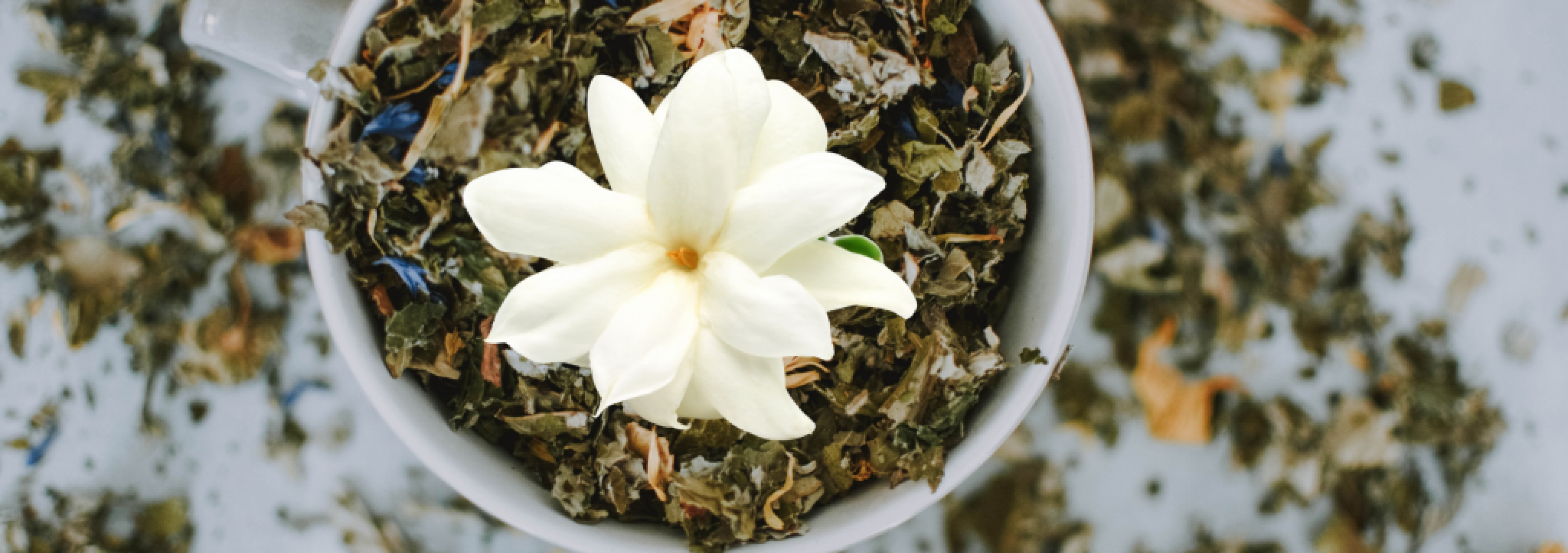 February: Featured Tea