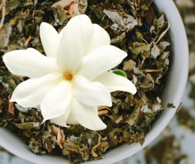 February: Featured Tea